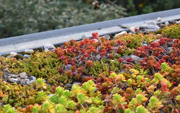 the cost of Kernborough green roof installation
